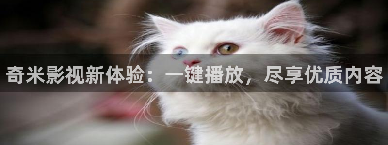 熊猫在线电影观看：奇米影视新体验：一键播放，尽享优质内容