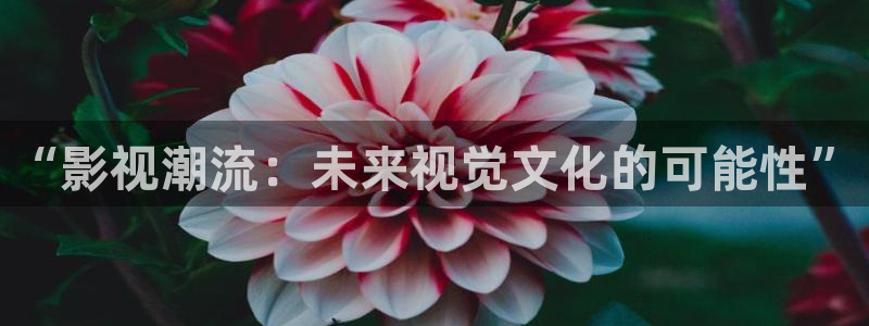 熊猫影院网：“影视潮流：未来视觉文化的可能性”