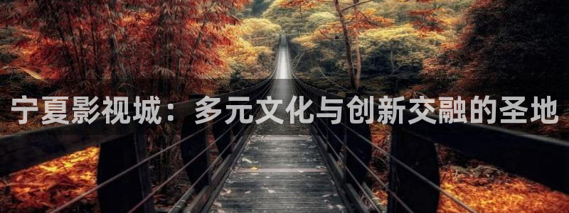 熊猫影院免费观看高清：宁夏影视城：多元文化与创新交融的圣地
