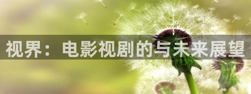 6080熊猫影视