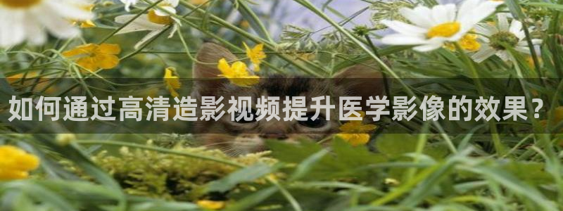 熊猫电视好吗
